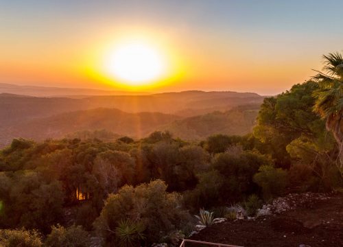 The Land of Miracles: Israel